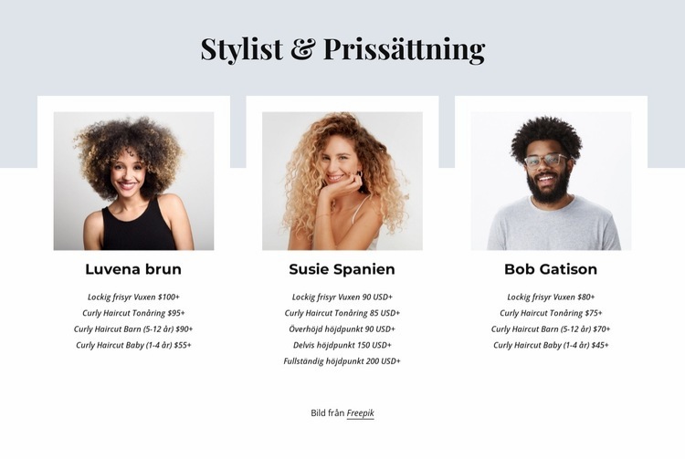 Stylist och prissättning CSS -mall