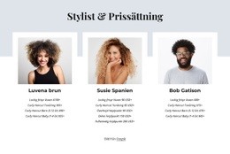 Stylist Och Prissättning - HTML-Webbplatslayout