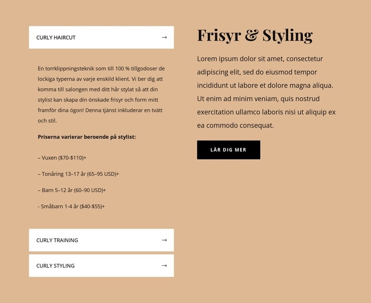 Hårklippningar och styling Webbplats mall