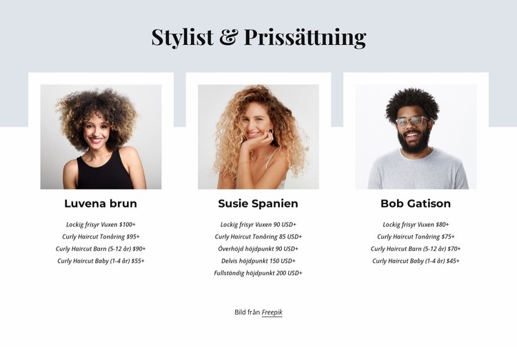 Stylist och prissättning Webbplats mall