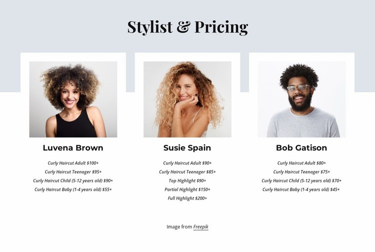 Stylist and pricing Web Page Design