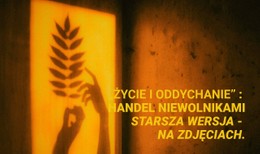 Układ CSS Dla Legacy Na Zdjęciach