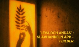 Webbplatsinspiration För Arv I Bilder