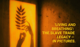 Legacy In Pictures - Best Homepage Design