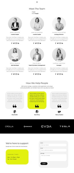 Best Case Strategy CSS Template