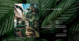 Dschungelleben - Zielseite Mit Hoher Konvertierungsrate