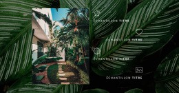 Modèle D'Une Page Pour La Vie Dans La Jungle