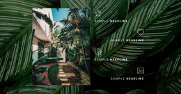 Jungle Life - Free Html Code