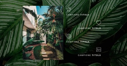 Vita Nella Giungla #Html5-Template-It-Seo-One-Item-Suffix