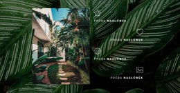 Życie W Dżungli Szablon