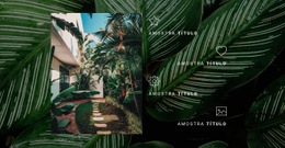 Vida Na Selva #Html5-Template-Pt-Seo-One-Item-Suffix