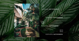 Веб-Сайт Страницы Для Жизнь В Джунглях