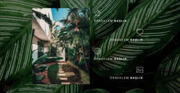 Orman Hayatı Için Bir Sayfa Şablonu