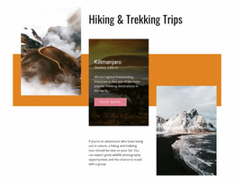 Website Layout For Pure Nature Experience