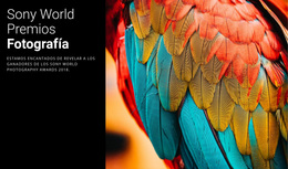 Mejor Tema De WordPress Para Premio Fotográfico Del Año