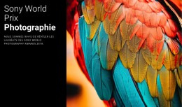 Page Web Pour Prix Photo De L'Année