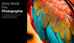 Prix Photo De L'Année Immobilier, Concepteur De Sites Web, Conception De Sites Web, Site Web Réactif, Dernière Mise À Jour, Thème Wordpress, Thèmes Wordpress, Hébergement Wordpress, Page De Destination, Plugins Wordpress, Wordpress D'Entreprise, Pages Spécialisées, Modèles De Site, Catégories Populaires, Modèles D'Effets, Effets Sonores, Modèles D'Administration , Commencez À Vendre, Modèles De, Concepteurs Web, L'Année Dernière, Modèles Web, Ressources Vidéo, Téléchargements Illimités, Modèles Css, Modèles De Conception, Didacticiels En Ligne, Centre D'Aide, Modèles De Sites Web De, Concepteurs Et Développeurs, Thèmes WordPress Pour Entreprises, Stock Vidéo, Logo Créateur, 21 Mars, 21 Février, Articles Populaires, 21 Janvier, Modèle Html, Wordpress 4.5, Constructeur De Page, Étoiles Et Plus, Pages De Destination, Calendrier Des Événements, Les Mieux Notés, Marché Envato, Thèmes Web, Top Nouveau, Meilleure Correspondance, Meilleures Ventes , Wordpress 4.6, Livrer De Meilleurs Projets, De Meilleurs Projets, Des Projets Plus Rapidement, Des Séquences D'Archives, Libres De Droits, De La Musique Gratuite, Livrer De Meilleurs Projets, De Meilleurs Projets Plus Rapidement, De La Musique Libre De Droits, Atterrissage Sans Rebond, Pages De Destination Sans Rebond, Numérique Facile, Téléchargements Numériques, Modèles D'Interface Utilisateur, Téléchargements Numériques Faciles, Kits De Modèles , Compositeur Visuel, Drupal Commerce, Adobe Xd, Best-Seller, Portfolio Wordpress, Actifs Numériques, Abonnement Aux Actifs, Créer Des Designs, Communauté Envato, Apprendre Des Autres, Fichiers 3d, Fichiers Populaires, Fichiers En Vedette, Nouveaux Fichiers, Suivre Le Fil, Haut Auteurs, Nouveaux Auteurs, Collections Publiques, Modèles De Courrier Électronique, Google Web, Publicités De Concepteur, Thèmes Modx, Panier Zen, Logo D'Entreprise, Logo De Jeu, Logo Twitch, Logo Sportif, Logo Immobilier, Logo Médical, Logo De Service, Marque De Fitness, Logo De Marque, Logo De Vêtements