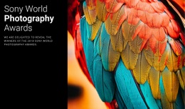 Photo Award Of The Year - Responsive Html Code