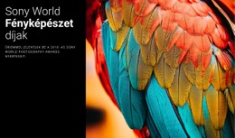 Az Év Fotódíja – Gyönyörű Sablonok Létrehozása