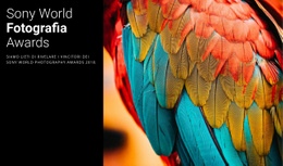 Premio Fotografico Dell'Anno - Modello HTML5 Definitivo