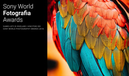 Miglior Tema WordPress Per Premio Fotografico Dell'Anno