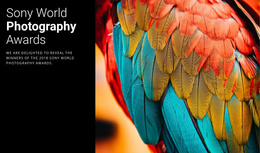 Photo Award Of The Year - Joomla Template 2024