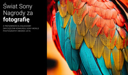 Najlepszy Motyw WordPress Dla Photo Award Of The Year