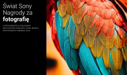 Photo Award Of The Year – Twórz Piękne Szablony