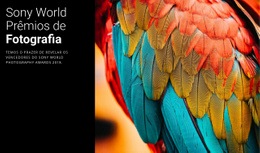 Prêmio De Foto Do Ano - Modelo HTML5 Definitivo