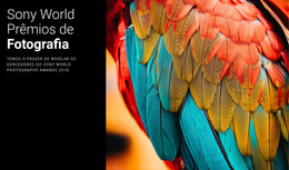 Inspiração De Site Para Prêmio De Foto Do Ano
