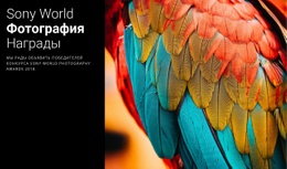 Фотопремия Года #Website-Templates-Ru-Seo-One-Item-Suffix