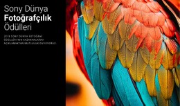 Yılın Fotoğraf Ödülü #One-Page-Template-Tr-Seo-One-Item-Suffix