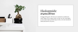 Börjar Ett Grönt Hem #Website-Templates-Sv-Seo-One-Item-Suffix
