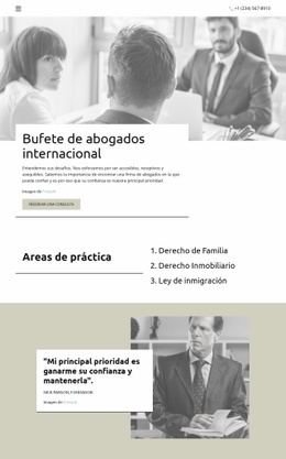 Bufete De Abogados Internacional