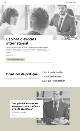 Cabinet D'Avocats International Modèles Html5 Réactifs Gratuits