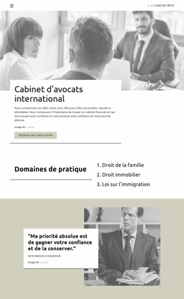 Cabinet D'Avocats International Modèle D'Éducation