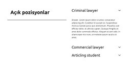 Ticari Avukat Duyarlı Tema