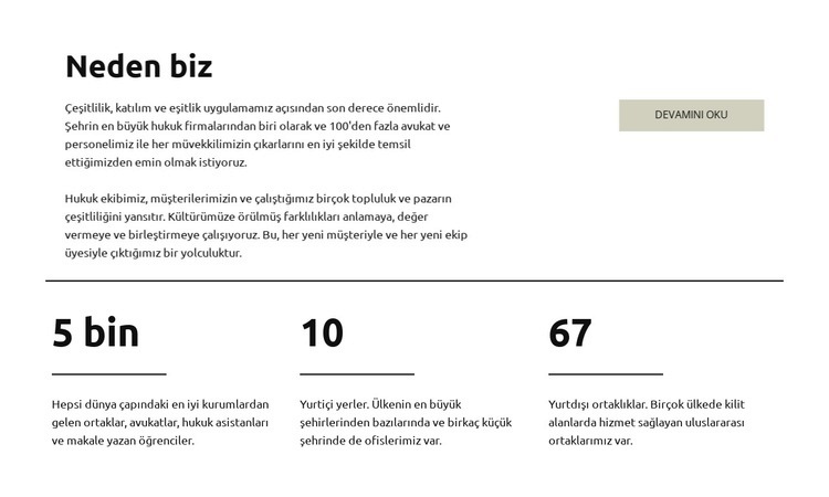 Artikülasyon öğrencisi Web sitesi tasarımı