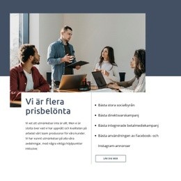 Vi Levererar Användarfokuserade Webbplatser