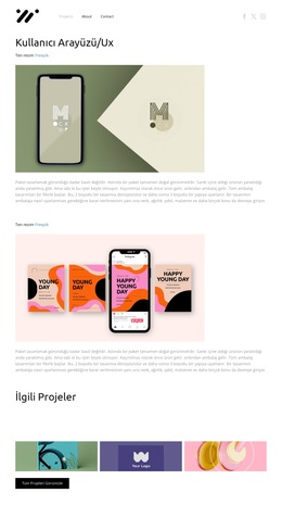 Kullanıcı Arayüzü Tasarımı Için Özel Yazı Tipleri, Renkler Ve Grafikler