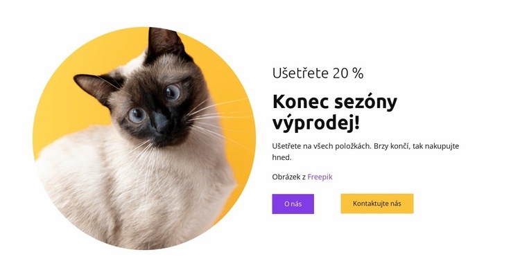 Kočky jsou moji nejlepší přátelé Šablona CSS