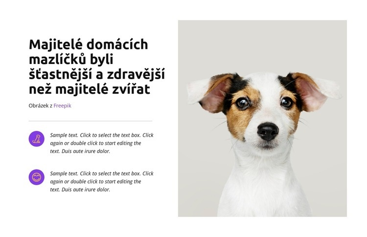 Brzy končí, tak nakupujte hned Téma WordPress