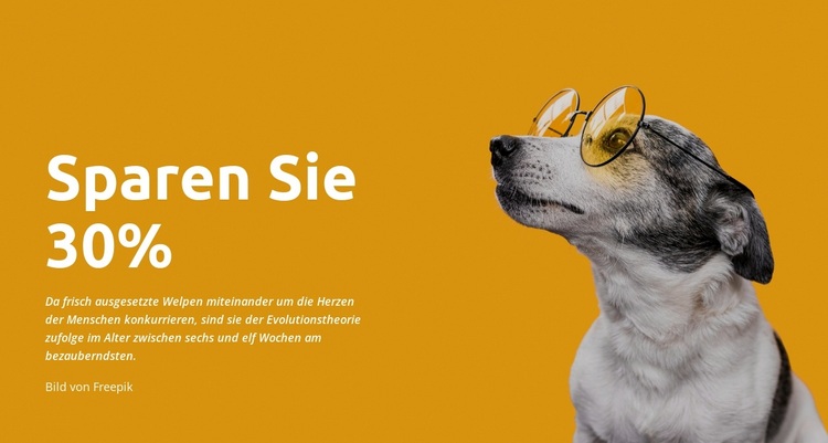 Sparen Sie bei allen Artikeln WordPress-Theme