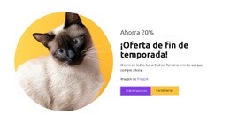 Los Gatos Son Mis Mejores Amigos. - Creador De Sitios Web Adaptables