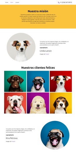 Para Todas Tus Mascotas: Plantilla De Página HTML