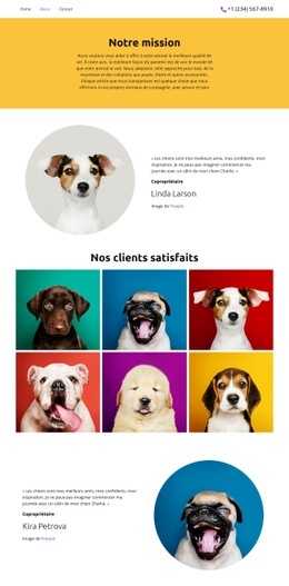 Pour Tous Vos Animaux De Compagnie - Conception Simple