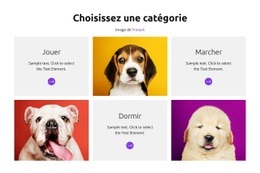 Du Jeu Au Sommeil - Meilleur Créateur De Sites Web