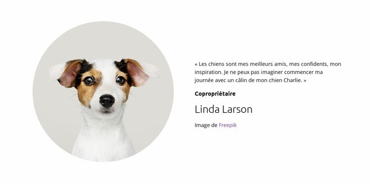 Propriétaires de chiens Modèles de constructeur de sites Web