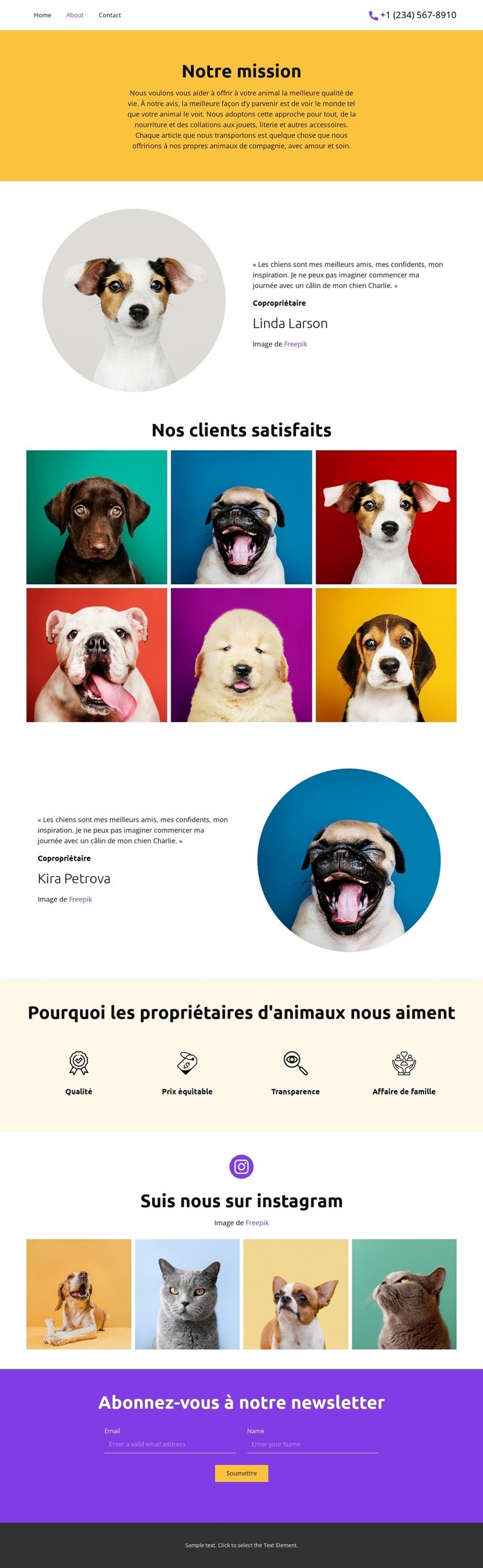 Pour tous vos animaux de compagnie Maquette de site Web