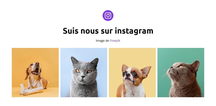 Nos heureux animaux de compagnie Modèle de site Web